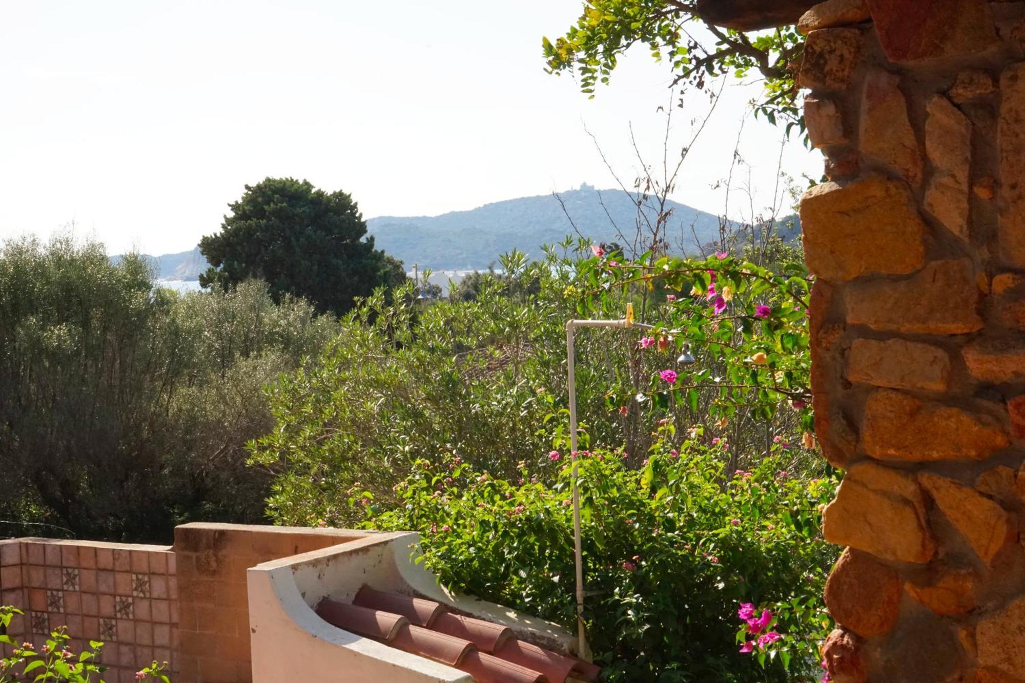 Patio On The * Simius